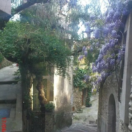 Triplex Entre Ciel Et Roccabruna
